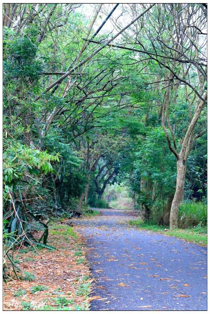 豐柏觀光健行步道猴子廟前坑森林步道台灣手套博物館