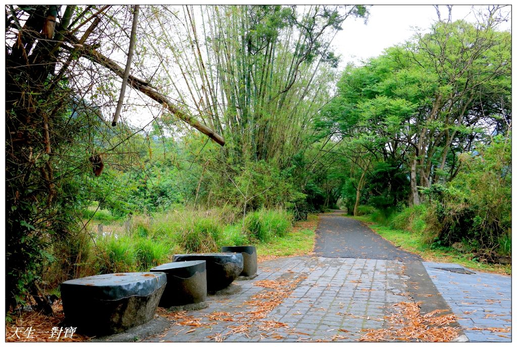 豐柏觀光健行步道猴子廟前坑森林步道台灣手套博物館