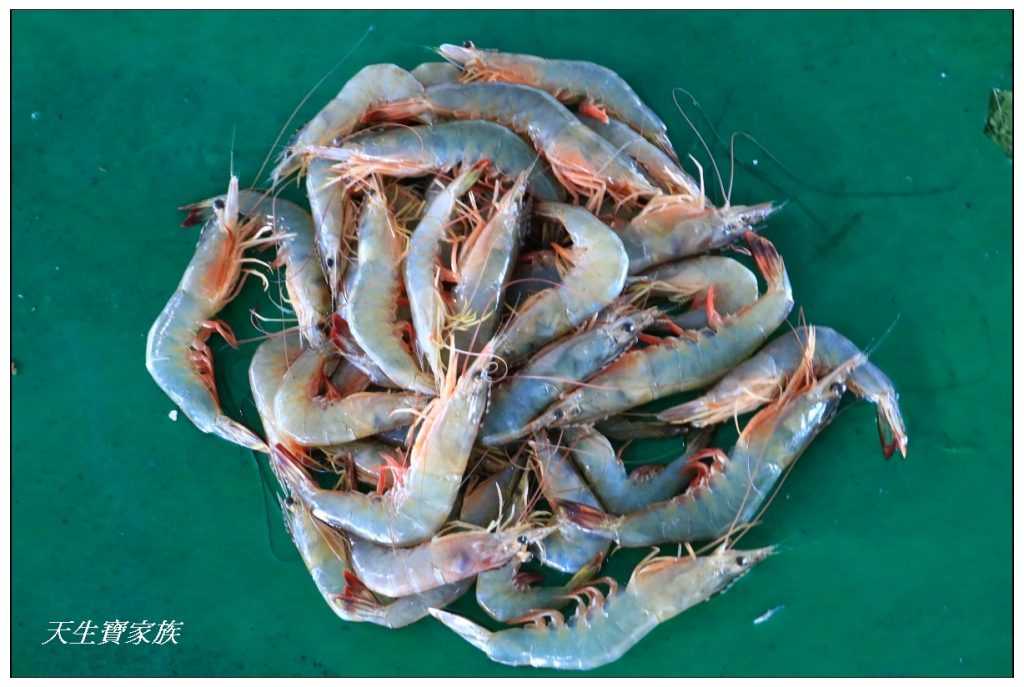 東石漁人碼頭戲水批魚買魚海鮮餐廳推薦