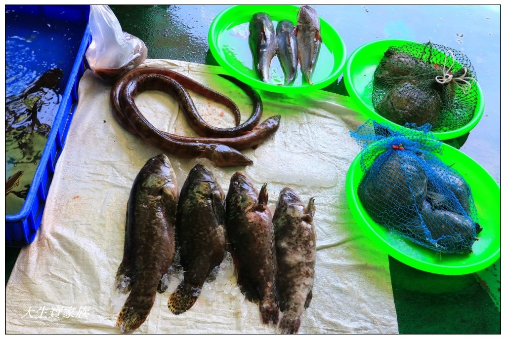 東石漁人碼頭戲水批魚買魚海鮮餐廳推薦