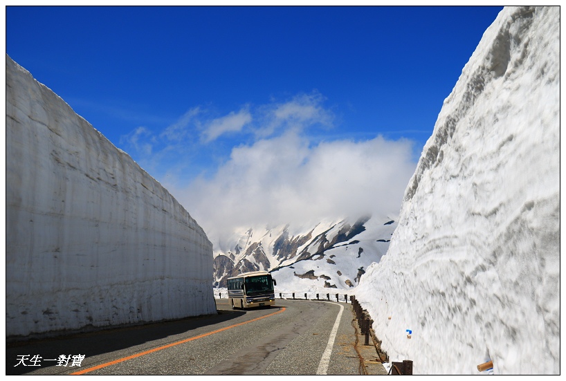 日本北陸 黑部立山峽谷鐵道大雪壁超壯觀 此生必遊一回 天生寶家族