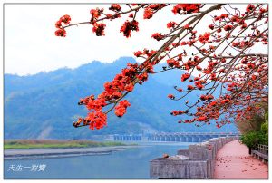 延伸閱讀：【南投集集】台灣水資源館木棉花盛開了，免費景點參館還有專人導覽，展覽區互動區休閒教育親子旅遊