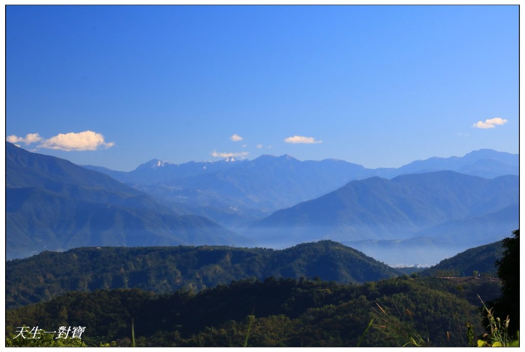 南港國小,南港村金瓜山羅家梅園,國姓南港國小,國姓南港村金瓜山羅家梅園,國姓梅園,國姓羅家梅園,國姓金九咖啡,國姓金瓜山,羅家梅園,羅家梅園無菜單料理,金久咖啡,金九咖啡,金九高山咖啡,金瓜山羅家梅園