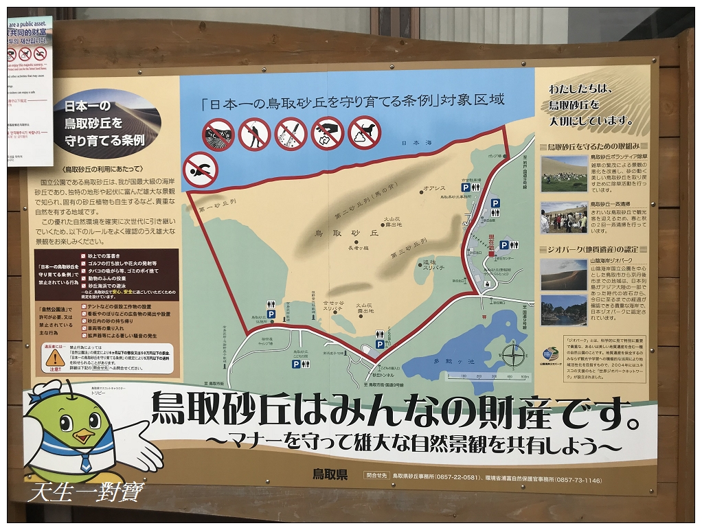 鳥取砂丘Tottori Sakyu日本中國山陰地方海岸地質公園日本海沙雕美術館
