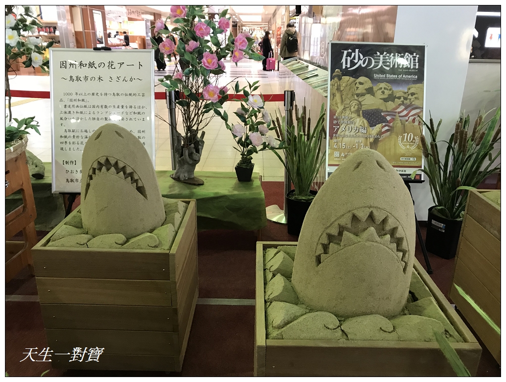 鳥取砂丘Tottori Sakyu日本中國山陰地方海岸地質公園日本海沙雕美術館