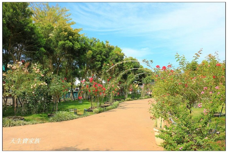 耐斯蘿莎玫瑰莊園