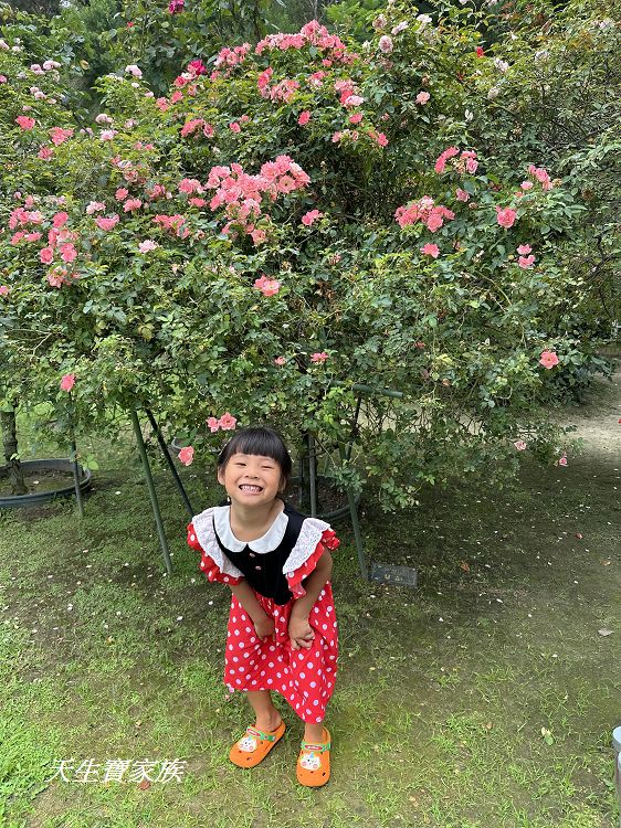 耐斯蘿莎玫瑰莊園