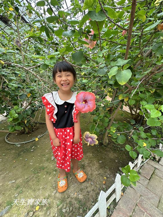 耐斯蘿莎玫瑰莊園