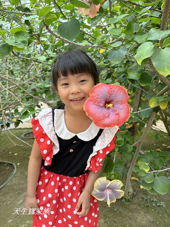 耐斯蘿莎玫瑰莊園