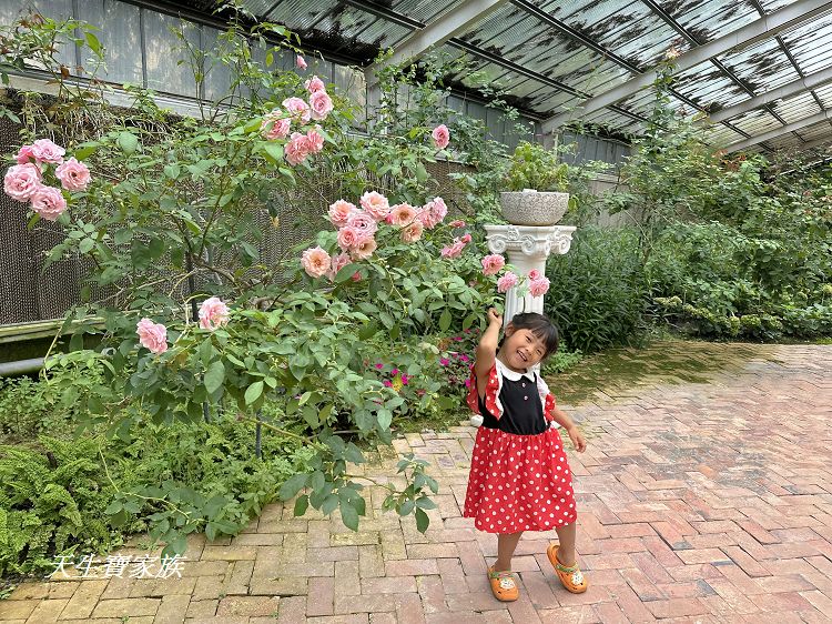 耐斯蘿莎玫瑰莊園