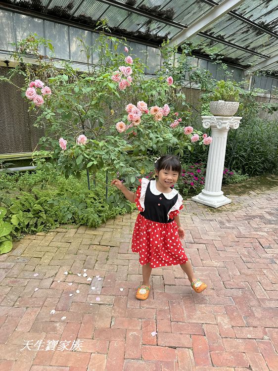 耐斯蘿莎玫瑰莊園