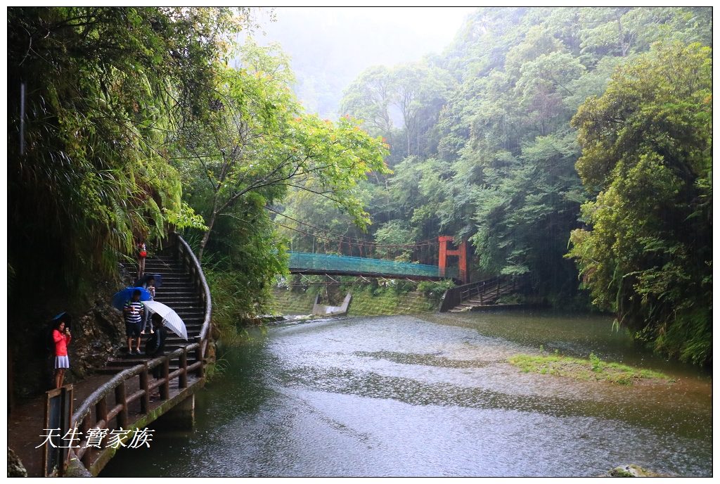 杉林溪繡球花螢火蟲櫻花門票停車場杉林溪大飯店杉林溪主題會館小木屋樂齡白金房