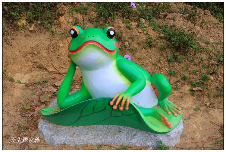 嘉義中埔遊客中心、西拉雅國家風景區、中埔遊客中心、台三線景點