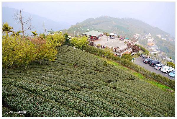 碧湖山觀光茶園、碧湖山驛站、碧湖山驛站有機茶園觀光示範區