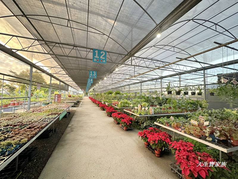 埔茂花市、芬園埔茂花市、埔茂花市停車場、