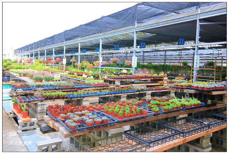 埔茂花市、芬園埔茂花市、埔茂花市停車場、