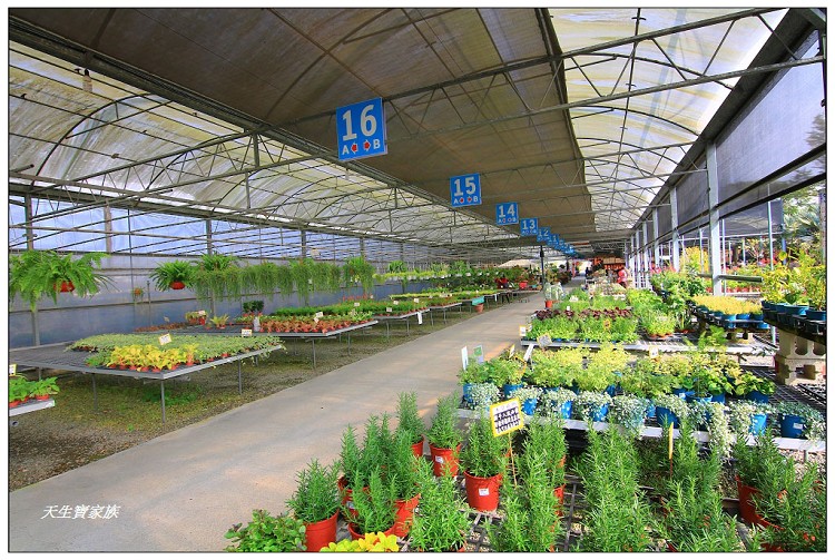 埔茂花市、芬園埔茂花市、埔茂花市停車場、