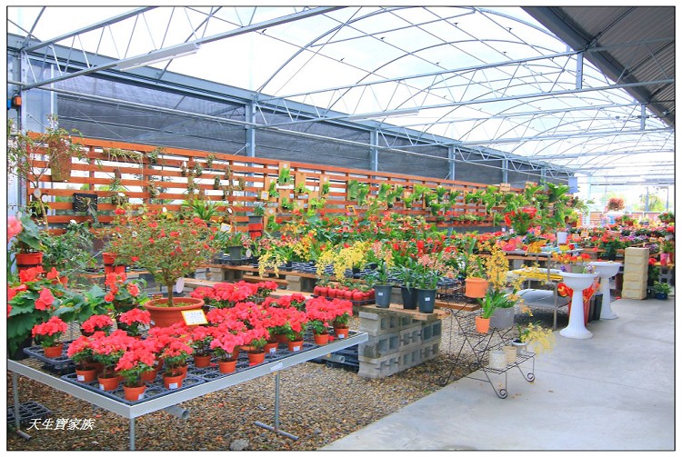 埔茂花市、芬園埔茂花市、埔茂花市停車場、