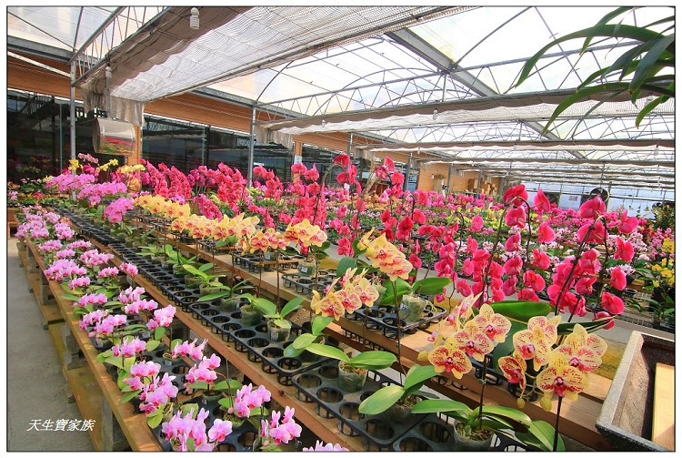 埔茂花市、芬園埔茂花市、埔茂花市停車場、