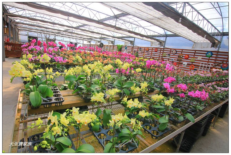 埔茂花市、芬園埔茂花市、埔茂花市停車場、