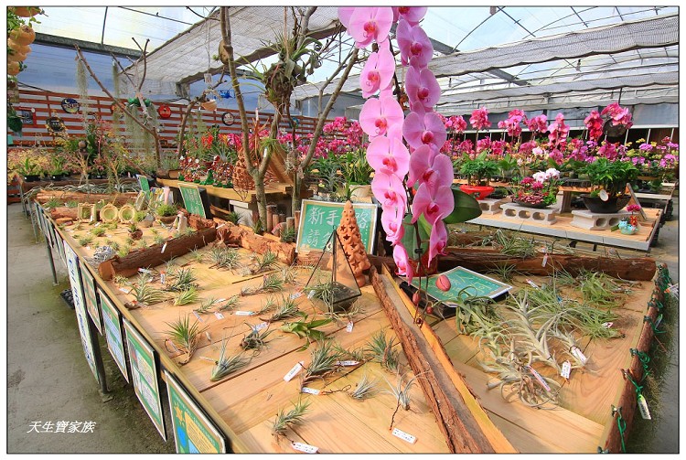 埔茂花市、芬園埔茂花市、埔茂花市停車場、