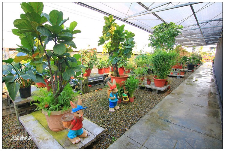 埔茂花市、芬園埔茂花市、埔茂花市停車場、