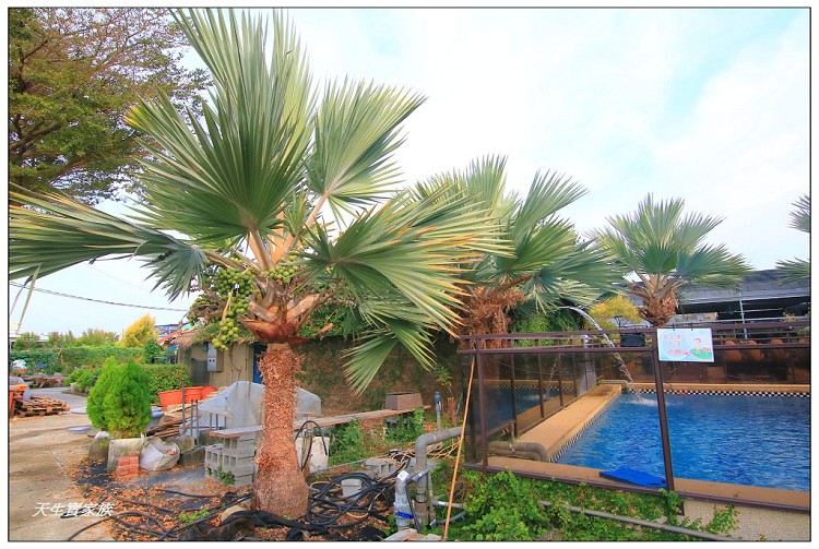 埔茂花市、芬園埔茂花市、埔茂花市停車場、