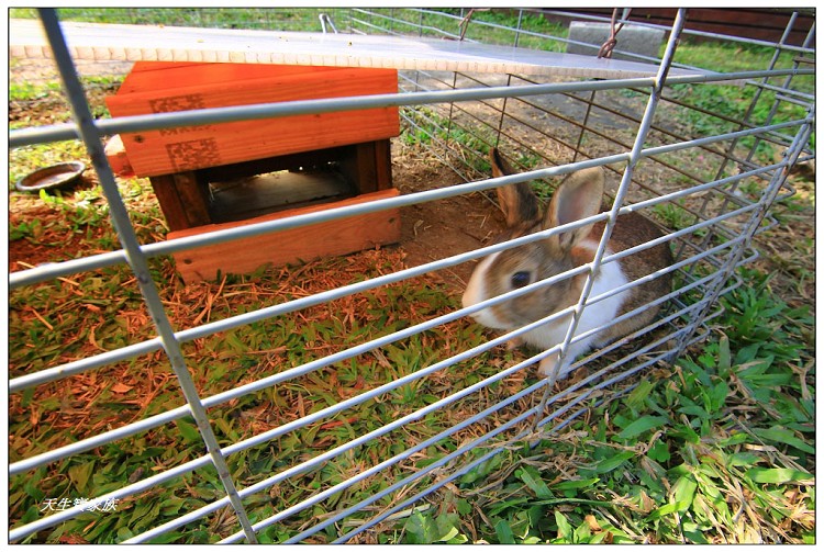 埔茂花市、芬園埔茂花市、埔茂花市停車場、