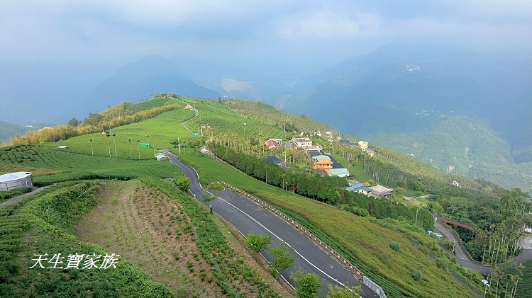 碧湖山觀光茶園、碧湖山驛站、碧湖山驛站有機茶園觀光示範區