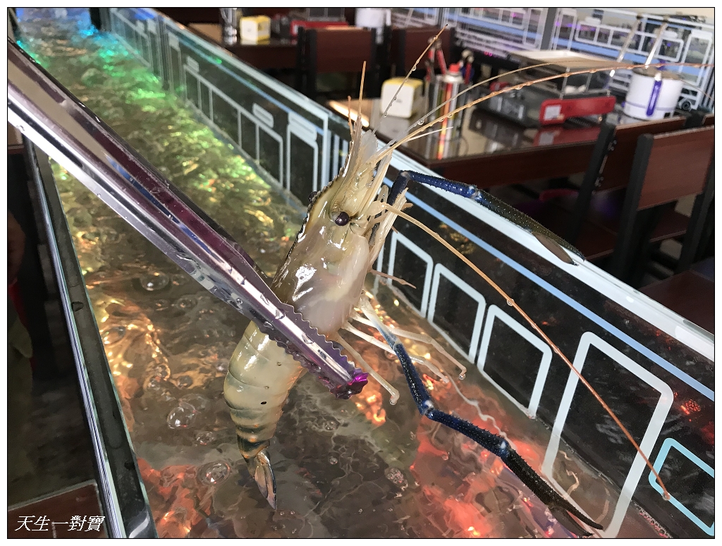斗六蝦道烈車水道蝦吃到飽主題式餐廳