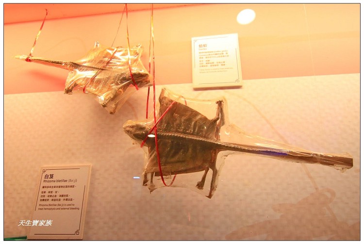 天一中藥生活化園區門票、天一中藥生活化園區的評論、天一中藥產品、天一中藥生活化園區、天一中藥生活化園區台南觀光工廠景點台南親子旅遊、天一中藥觀光工廠 天一中藥生活化園區門票、天一中藥生活化園區的評論、天一中藥產品、天一中藥生活化園區、天一中藥生活化園區台南觀光工廠景點台南親子旅遊、天一中藥觀光工廠