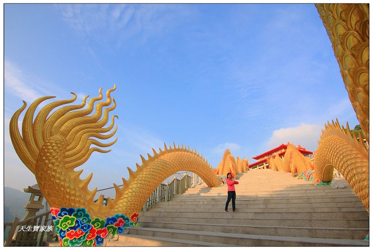 中寮一日遊,中寮法華寺,中寮鄉公所,中寮鄉地圖,中寮鄉法華寺,中寮鄉金龍山法華寺,中寮鄉金龍山法華寺的圖片,中寮鄉金龍山法華寺的評論,中寮金龍山,中寮金龍山法華寺,中寮雙龍廟,北中寮,南中寮,南投中寮住宿,南投中寮地震,南投中寮天氣,南投中寮景點,南投中寮歷史,南投中寮法華寺,南投中寮法華寺路線,南投中寮石龍宮,南投中寮金龍山法華寺,南投中寮雙龍,南投法華寺,南投縣中寮鄉永平路,南投金龍山法華寺,有龍的廟,法華寺南投金龍,法華寺萬人朝山,金龍,金龍山法華寺,金龍山法華寺主神,金龍山法華寺交通,金龍山法華寺婚紗,金龍山法華寺歷史,金龍山法華寺附近景點,金龍廟