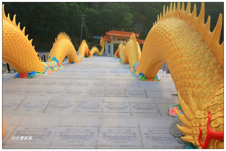 中寮一日遊,中寮法華寺,中寮鄉公所,中寮鄉地圖,中寮鄉法華寺,中寮鄉金龍山法華寺,中寮鄉金龍山法華寺的圖片,中寮鄉金龍山法華寺的評論,中寮金龍山,中寮金龍山法華寺,中寮雙龍廟,北中寮,南中寮,南投中寮住宿,南投中寮地震,南投中寮天氣,南投中寮景點,南投中寮歷史,南投中寮法華寺,南投中寮法華寺路線,南投中寮石龍宮,南投中寮金龍山法華寺,南投中寮雙龍,南投法華寺,南投縣中寮鄉永平路,南投金龍山法華寺,有龍的廟,法華寺南投金龍,法華寺萬人朝山,金龍,金龍山法華寺,金龍山法華寺主神,金龍山法華寺交通,金龍山法華寺婚紗,金龍山法華寺歷史,金龍山法華寺附近景點,金龍廟