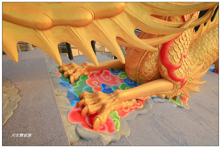 中寮一日遊,中寮法華寺,中寮鄉公所,中寮鄉地圖,中寮鄉法華寺,中寮鄉金龍山法華寺,中寮鄉金龍山法華寺的圖片,中寮鄉金龍山法華寺的評論,中寮金龍山,中寮金龍山法華寺,中寮雙龍廟,北中寮,南中寮,南投中寮住宿,南投中寮地震,南投中寮天氣,南投中寮景點,南投中寮歷史,南投中寮法華寺,南投中寮法華寺路線,南投中寮石龍宮,南投中寮金龍山法華寺,南投中寮雙龍,南投法華寺,南投縣中寮鄉永平路,南投金龍山法華寺,有龍的廟,法華寺南投金龍,法華寺萬人朝山,金龍,金龍山法華寺,金龍山法華寺主神,金龍山法華寺交通,金龍山法華寺婚紗,金龍山法華寺歷史,金龍山法華寺附近景點,金龍廟