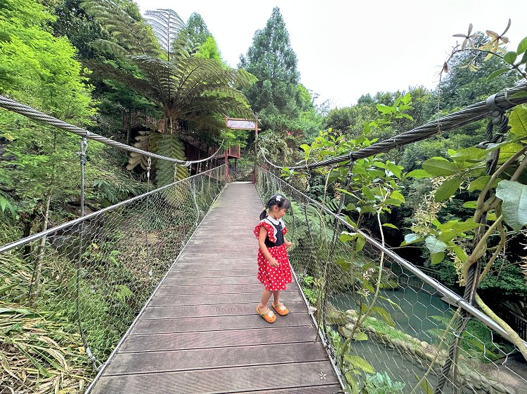 桂林映象會館雲林古坑