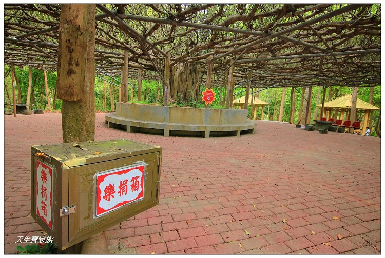 川文山森林生態保育農場、川文山、川文山森林生態保育農場、小陽明山、台南官田