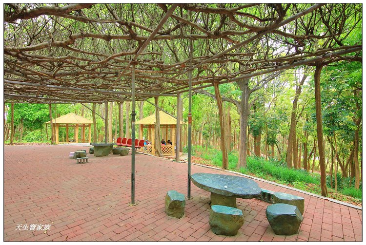 川文山森林生態保育農場、川文山、川文山森林生態保育農場、小陽明山、台南官田