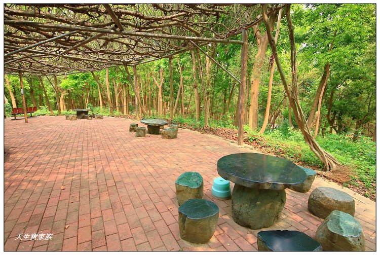 川文山森林生態保育農場、川文山、川文山森林生態保育農場、小陽明山、台南官田