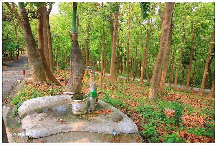 川文山森林生態保育農場、川文山、川文山森林生態保育農場、小陽明山、台南官田