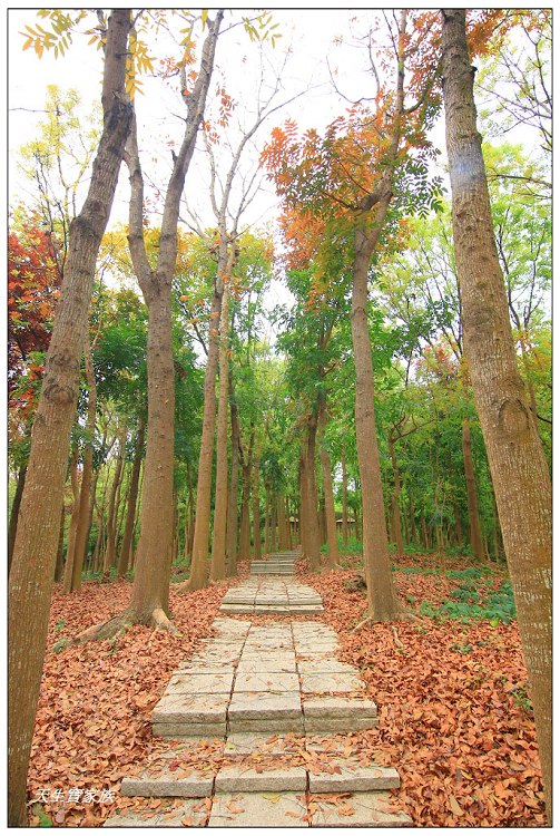 川文山森林生態保育農場、川文山、川文山森林生態保育農場、小陽明山、台南官田