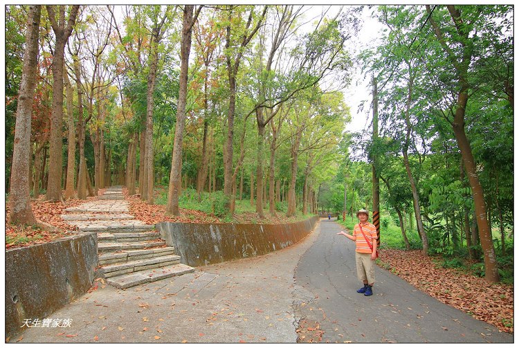 川文山森林生態保育農場、川文山、川文山森林生態保育農場、小陽明山、台南官田