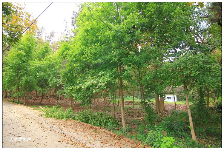 川文山森林生態保育農場、川文山、川文山森林生態保育農場、小陽明山、台南官田