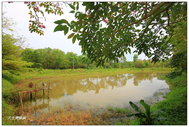 川文山森林生態保育農場、川文山、川文山森林生態保育農場、小陽明山、台南官田