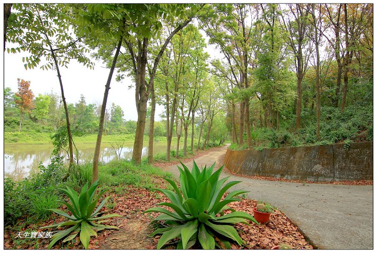 川文山森林生態保育農場、川文山、川文山森林生態保育農場、小陽明山、台南官田