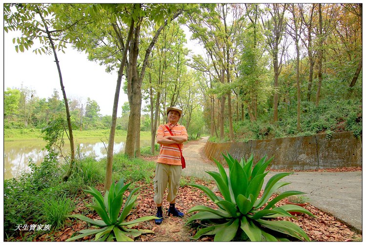 川文山森林生態保育農場、川文山、川文山森林生態保育農場、小陽明山、台南官田