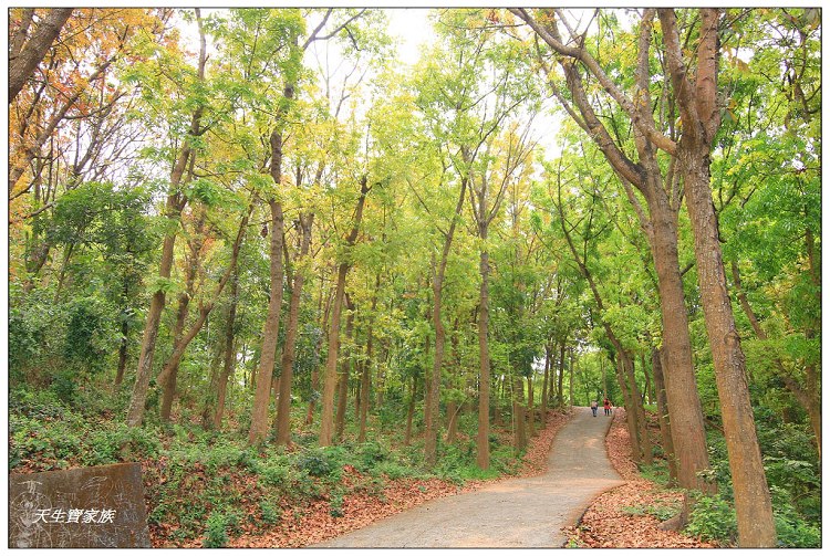 川文山森林生態保育農場、川文山、川文山森林生態保育農場、小陽明山、台南官田