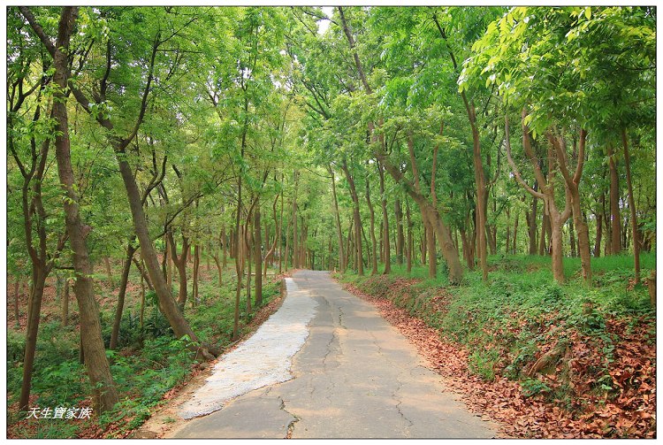 川文山森林生態保育農場、川文山、川文山森林生態保育農場、小陽明山、台南官田