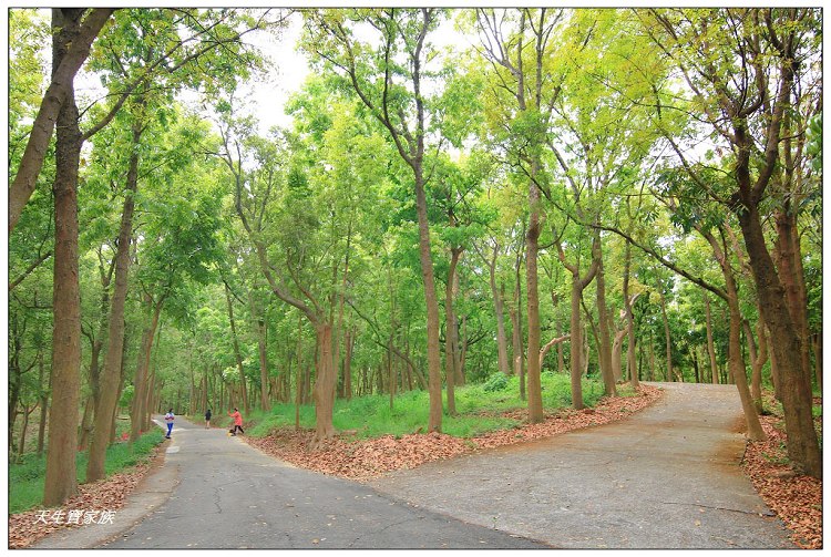 川文山森林生態保育農場、川文山、川文山森林生態保育農場、小陽明山、台南官田