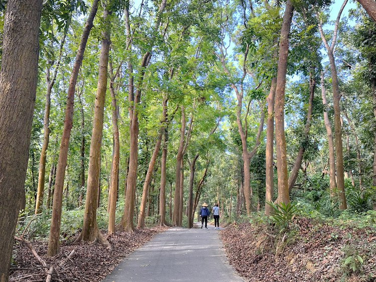 川文山森林生態保育農場、川文山、川文山森林生態保育農場、小陽明山、台南官田