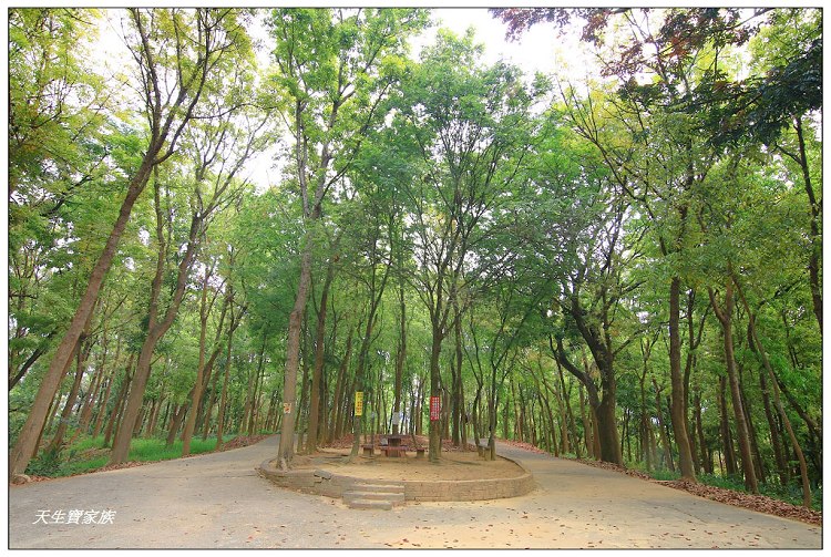 川文山森林生態保育農場、川文山、川文山森林生態保育農場、小陽明山、台南官田